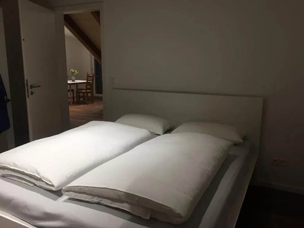 Ferienwohnung am Herzogspark Regensburg 0*,